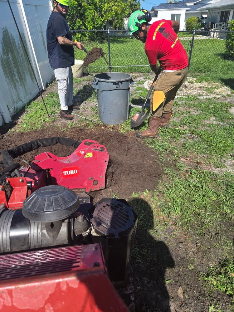 All Photos for TREE BOYS in Ruskin, FL