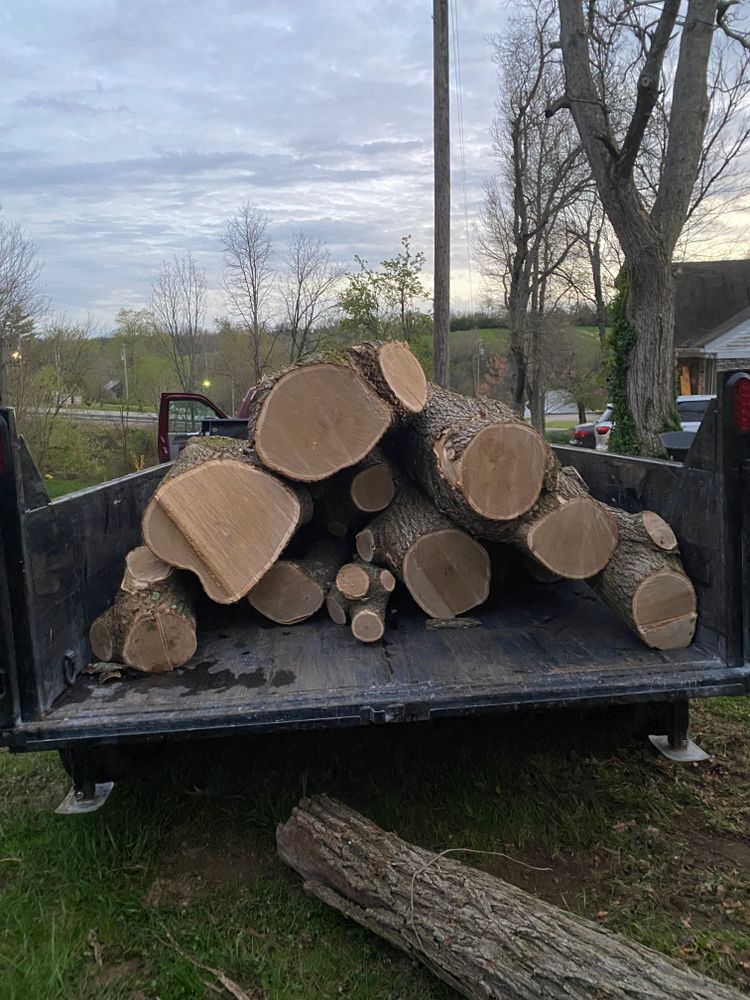 All Photos for Houtz Tree Service in Lexington, KY