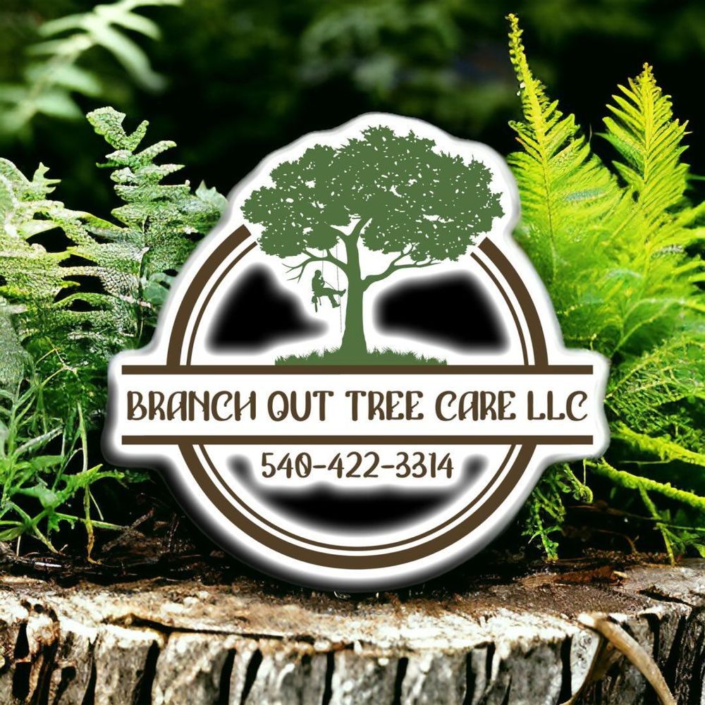 instagram for Branch Out Tree Care LLC in Fredericksburg, VA