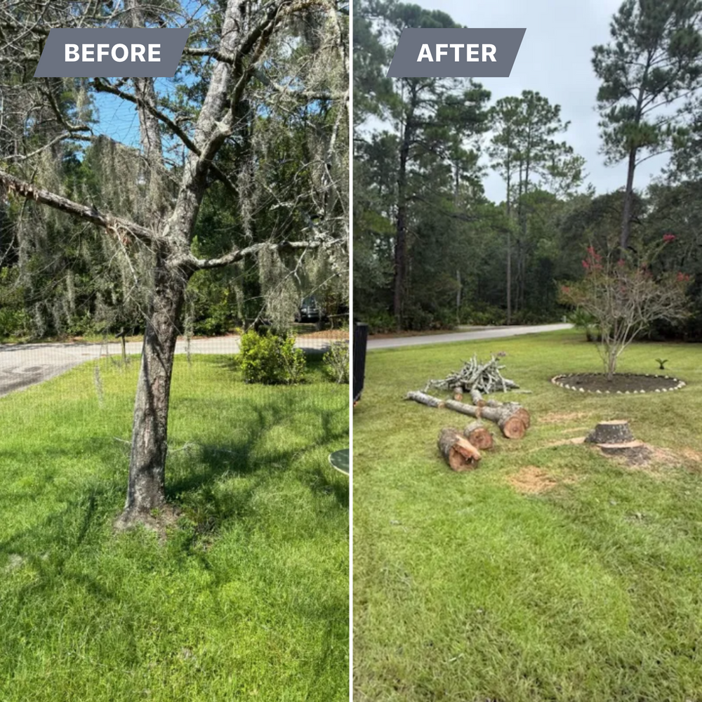 All Photos for Hawkins Tree Service & Land Management in Richmond Hill, GA
