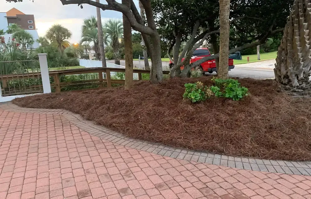 Landscaping for Poarch Creek Landscaping in Santa Rosa Beach, FL