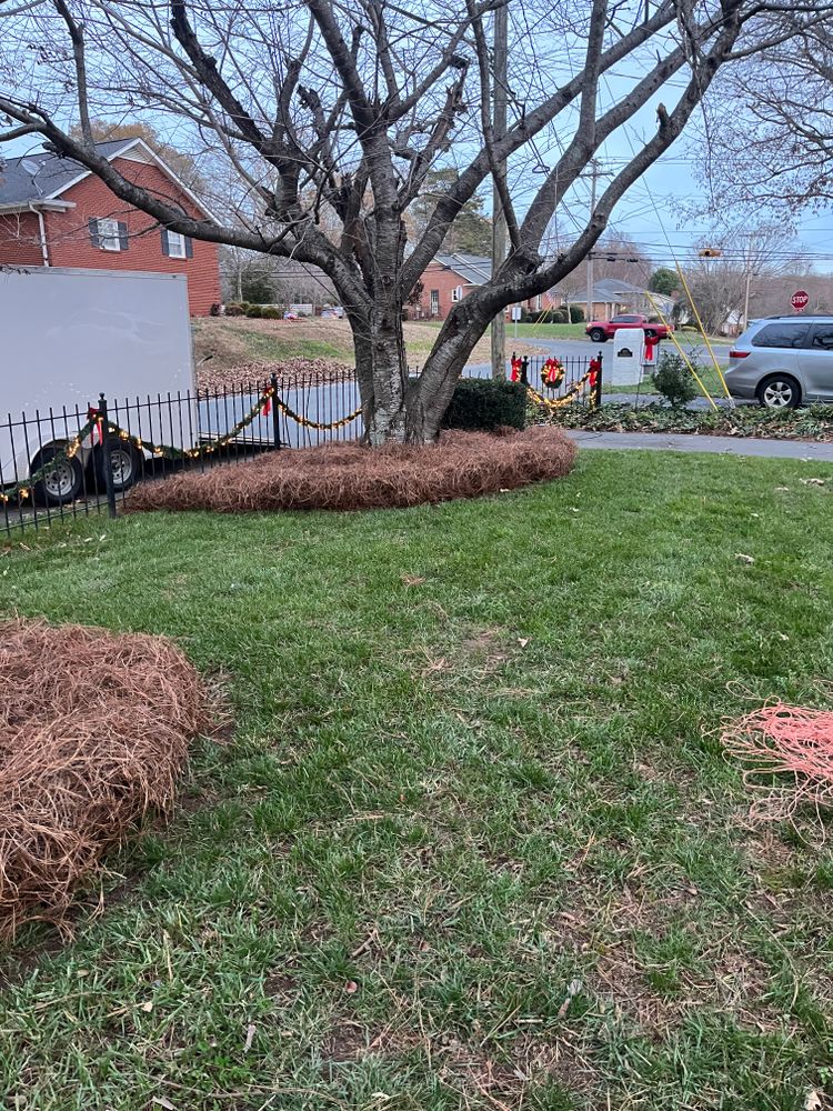 All Photos for Dream Cuts Landscaping and Lawn Care LLC in Gastonia, NC