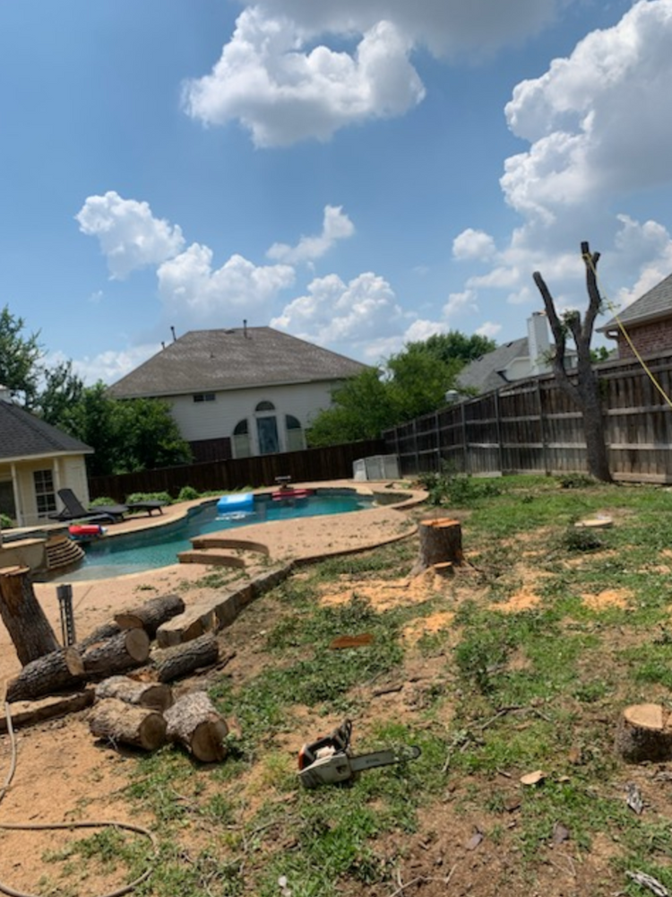 All Photos for Teague Trees and Land Clearing in Rendon, TX