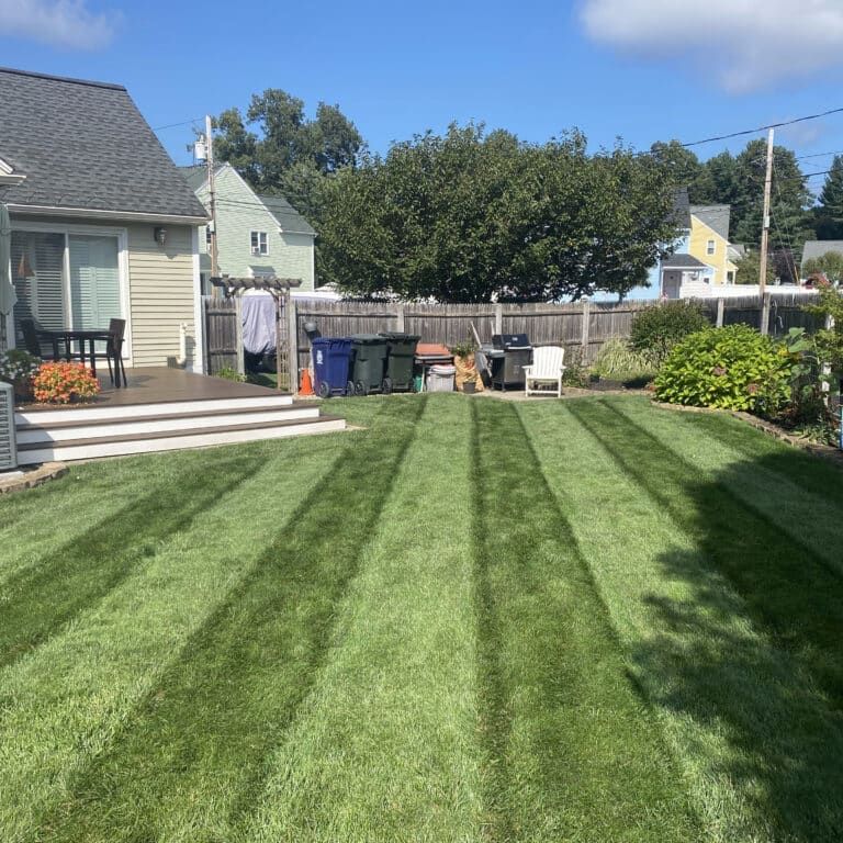 Lawn Care for Picano Landscaping in Reading, MA