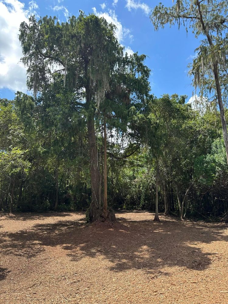 All Photos for McLeran in Naples, FL