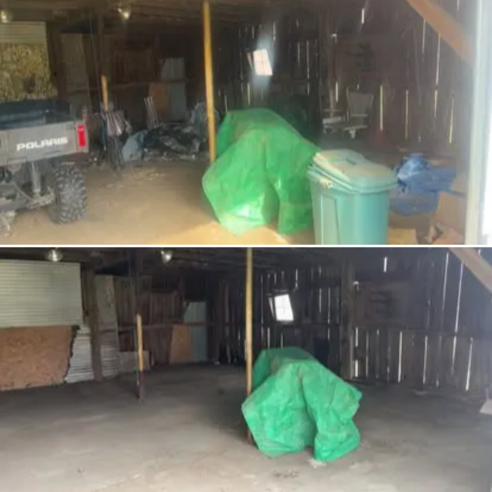 All Photos for Quick Removal Solutions in Lansing, MI