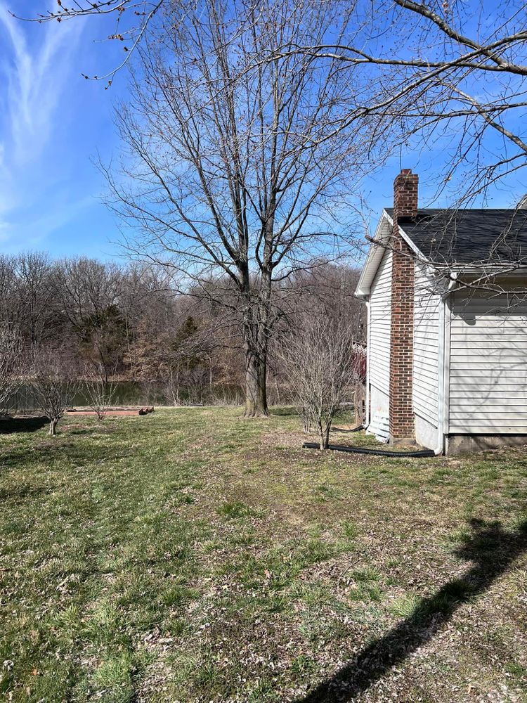 All Photos for Black Sheep Fencing LLC  in Odessa, MO 