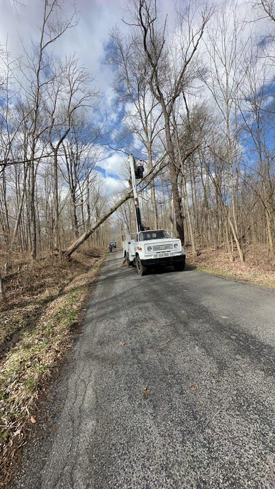 Tree Trimming for Billiter's Tree Service, LLC in Rootstown, Ohio