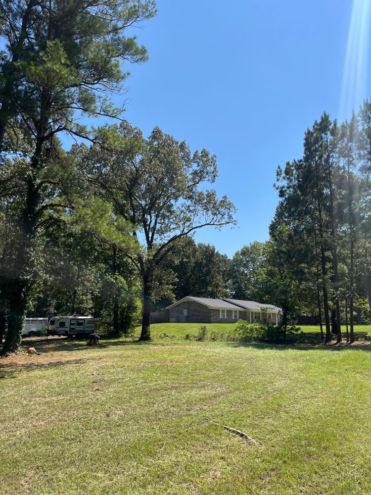 All Photos for JC Land and Tree Service in Kilgore, TX
