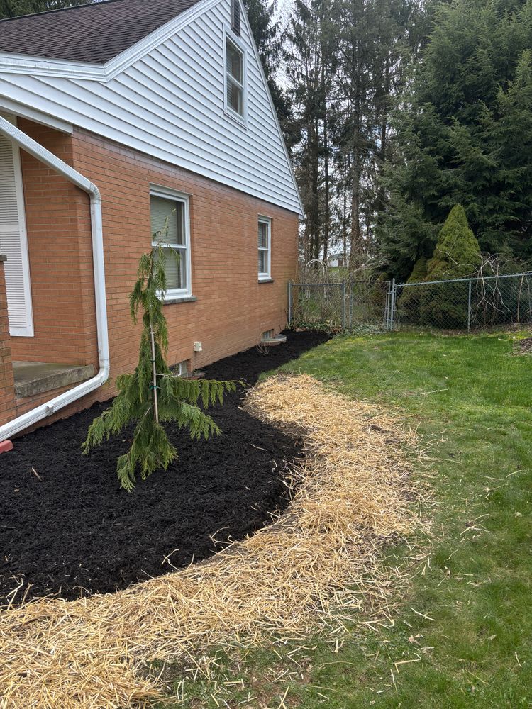 Landscaping for Kunkle & Sons Property Maintenance in Akron, OH