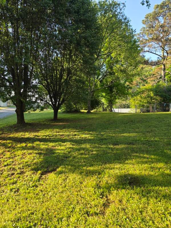 All Photos for ACE Lawn Care of Georgia LLC in Atlanta, GA