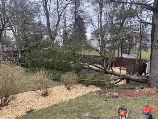 All Photos for Burgwald Outdoor Services in Blaine, MN