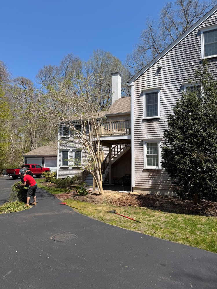 All Photos for Native Roots Tree Service in Cape Cod, MA