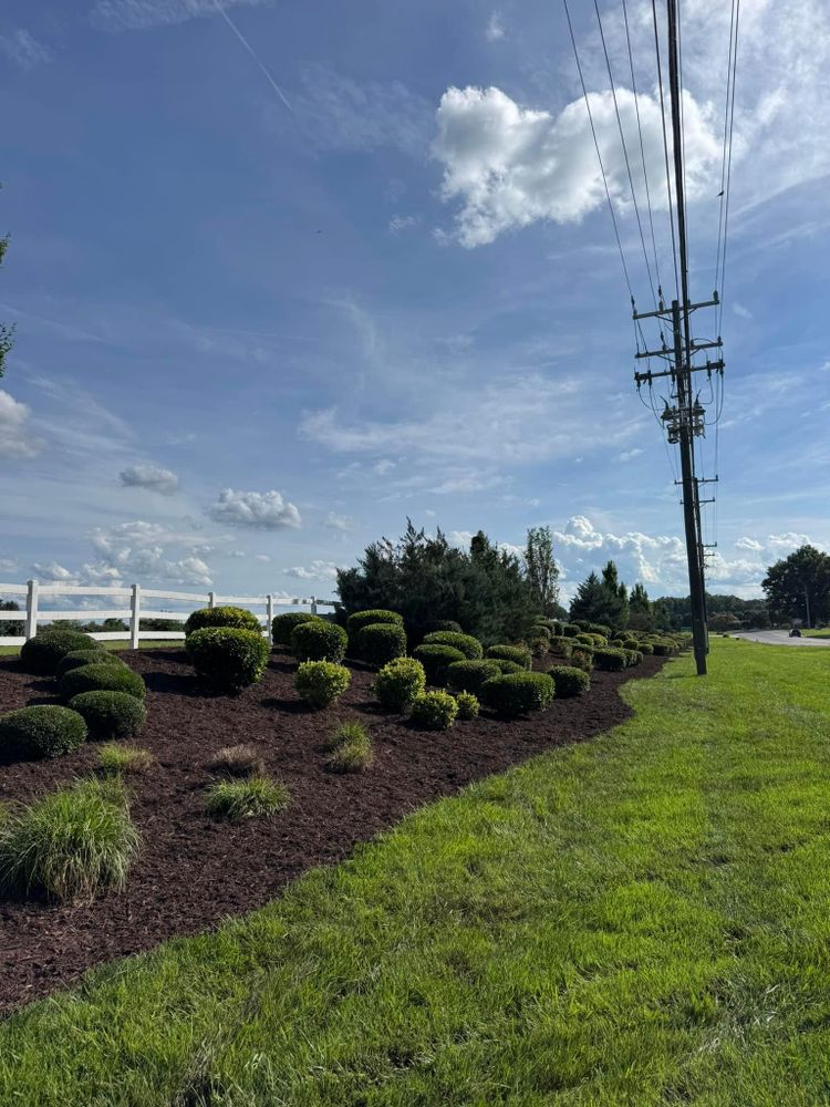 All Photos for Southern Turf & Landscape in Concord, NC