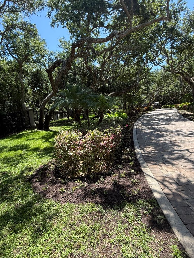 All Photos for Vanic's Landscaping in South Daytona, FL