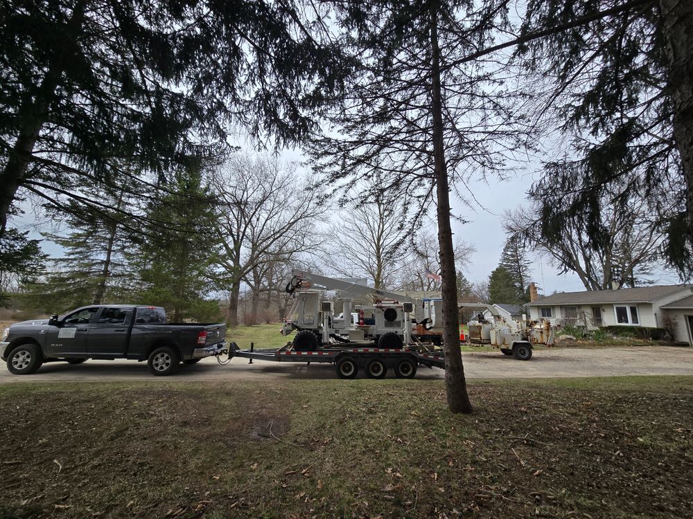 All Photos for D Hale Tree Service in Ann Arbor, MI