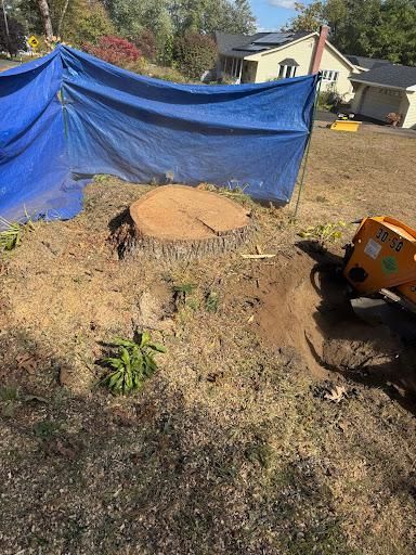 All Photos for Jills Stump Grinding and Firewood in Shelton, CT