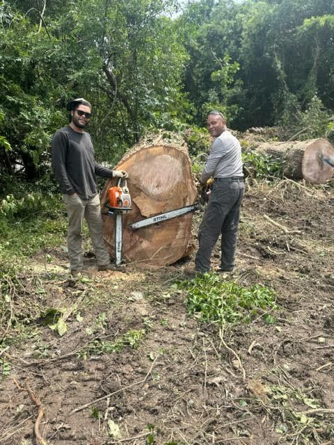 All Photos for Tucker's Tree Service and Stump Grinding in Lugoff, SC