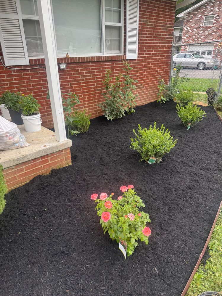 All Photos for R&M Property Maintenance in White Pine, TN