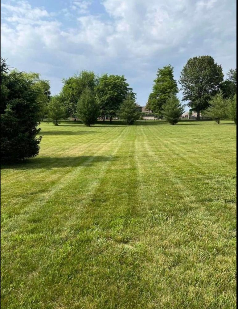 Lawn Care for Wright Lawn Services in Ozark, MO