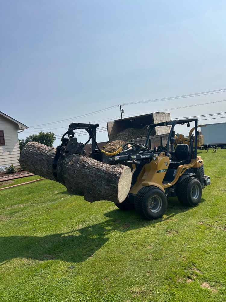 All Photos for Hingewood Tree Service in Salem, NJ