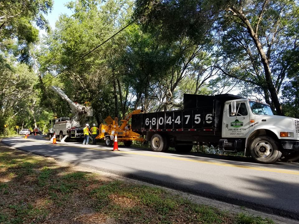 All Photos for Daniel Hickey’s Tree Service in DeLand, FL