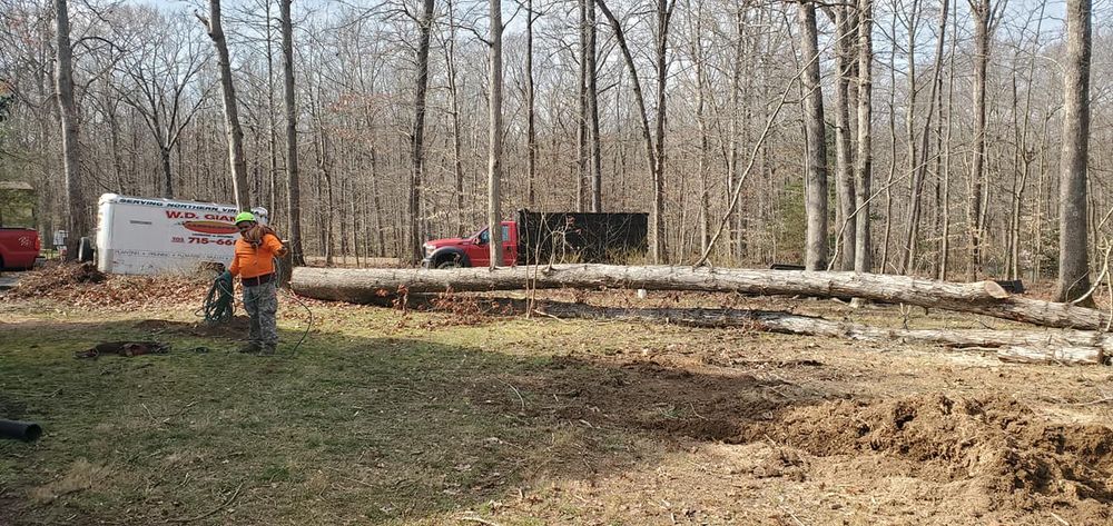 All Photos for W D Giampa Lawns and Landscape Inc. in Independent Hill, VA