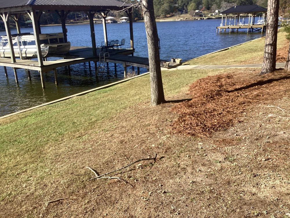 All Photos for Xtreme Landscaping & Lawn Care in Lincoln, AL