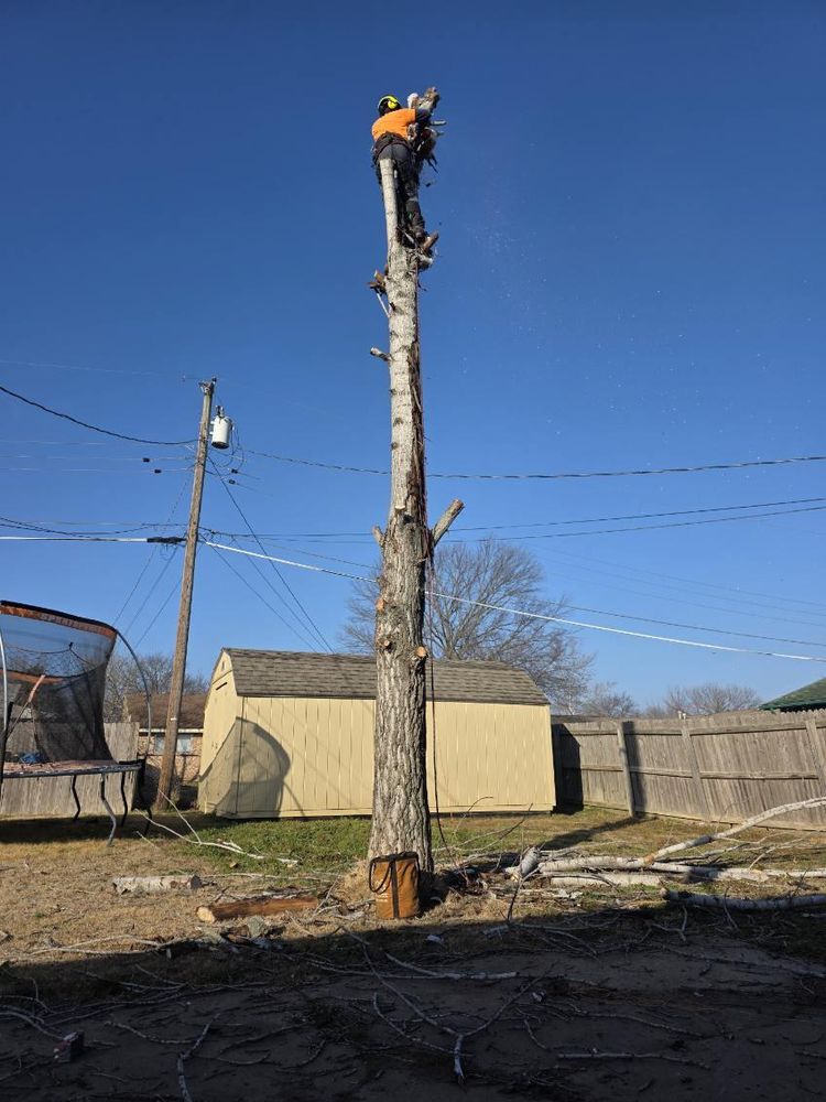 All Photos for Oklahoma Tree Guy in Bartlesville, OK