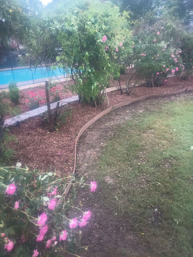 All Photos for Wilson's Yard Work, LLC in Tyler, TX