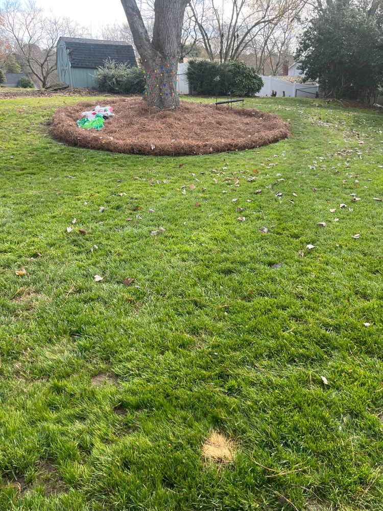 All Photos for Dream Cuts Landscaping and Lawn Care LLC in Gastonia, NC