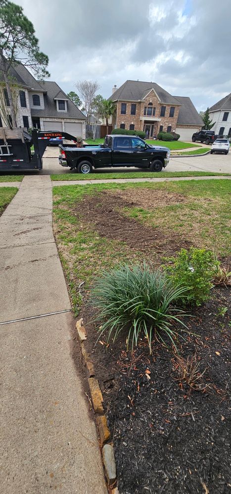 All Photos for Servin's Tree Care  in Houston, TX