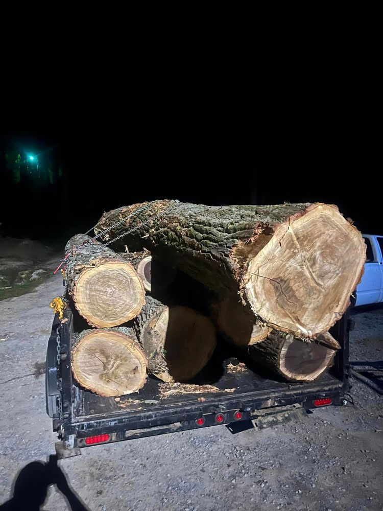 All Photos for Brocks Tree Service LLC in Rogersville, TN