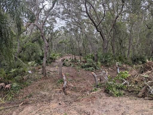 All Photos for Regal Tree Service and Stump Grinding in Wauchula, FL