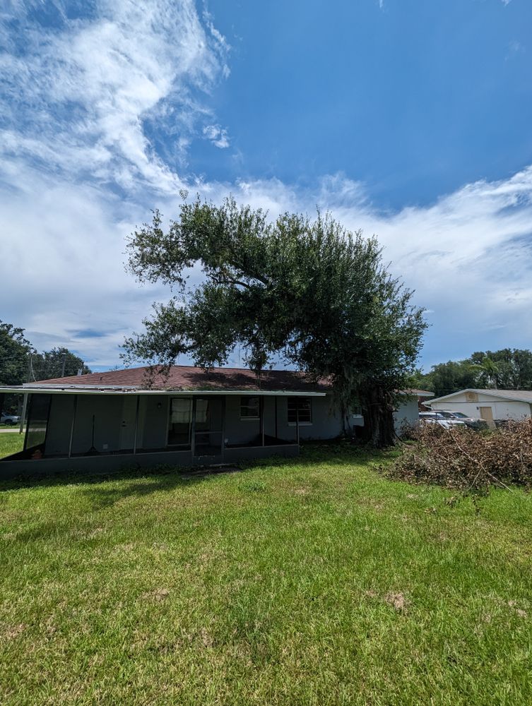 All Photos for Regal Tree Service and Stump Grinding in Wauchula, FL