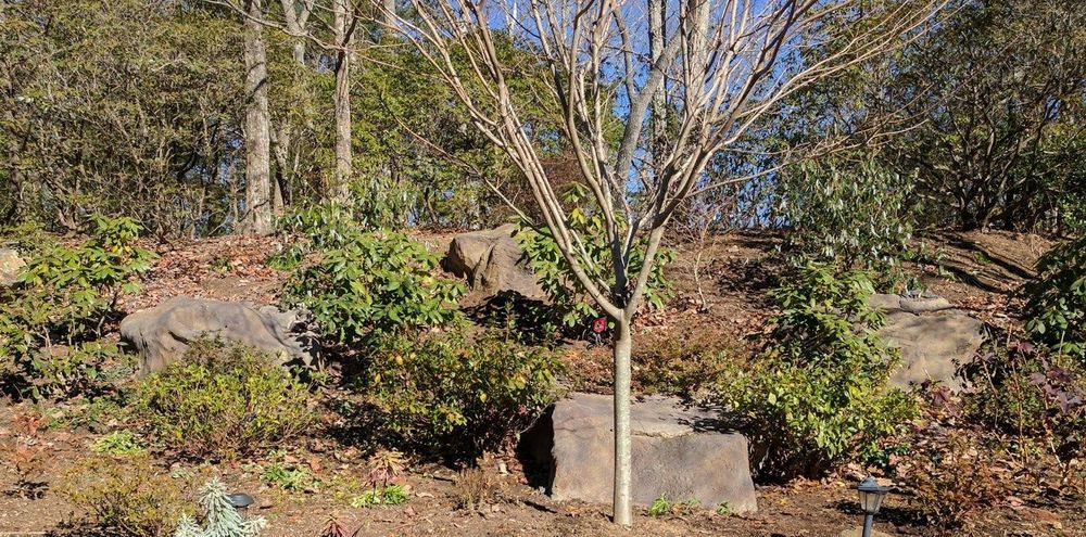 All Photos for Acosta's Stone Work in Henderson, NC