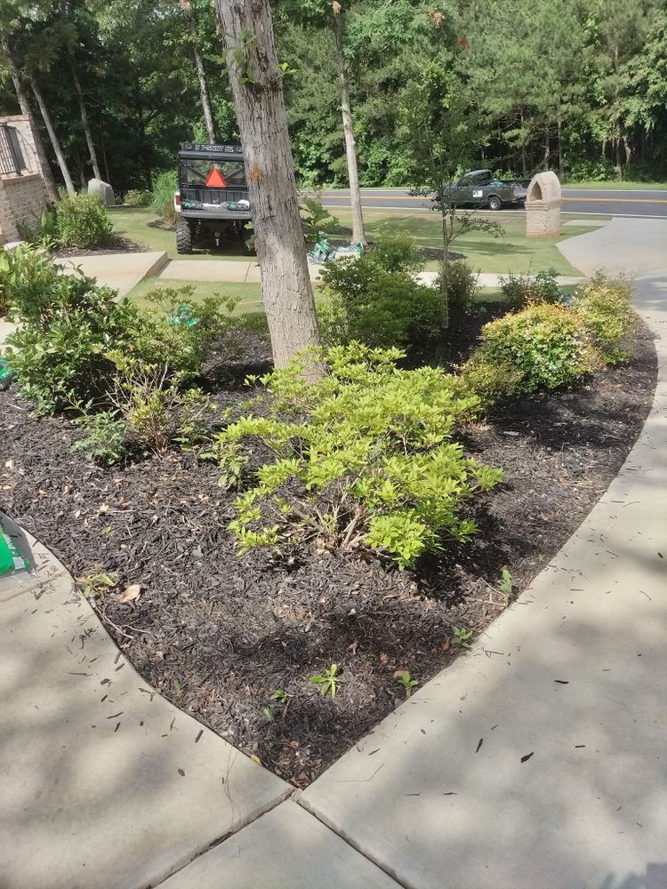 Landscaping for Fresh Cut Yard & Lawn Care LLC in Forsyth, GA