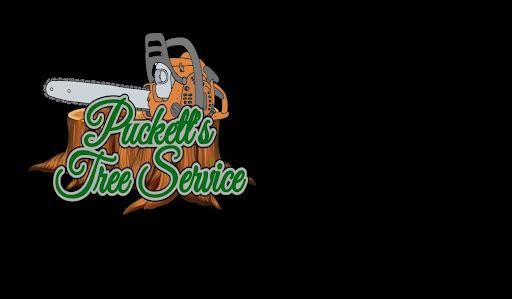 All Photos for Puckett's Tree Service in Decatur County, TN