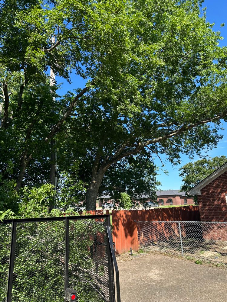 All Photos for Watson Lawn Care in Hillsboro, TX