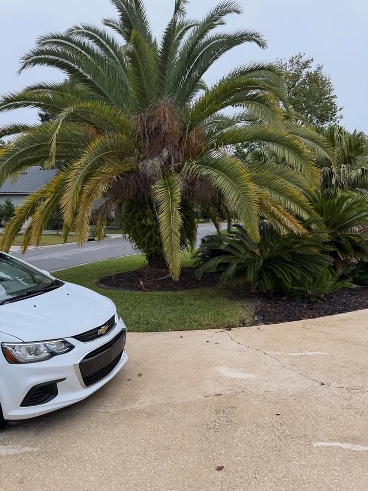 All Photos for Whole 9 Yards Services in Green Cove Springs, FL