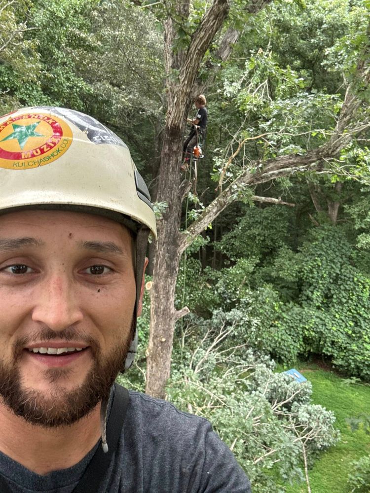 Total Tree Care team in Erwin, North Carolina - people or person