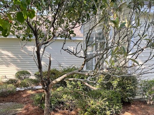 All Photos for Patriot Soft Wash LLC in Beaufort, SC