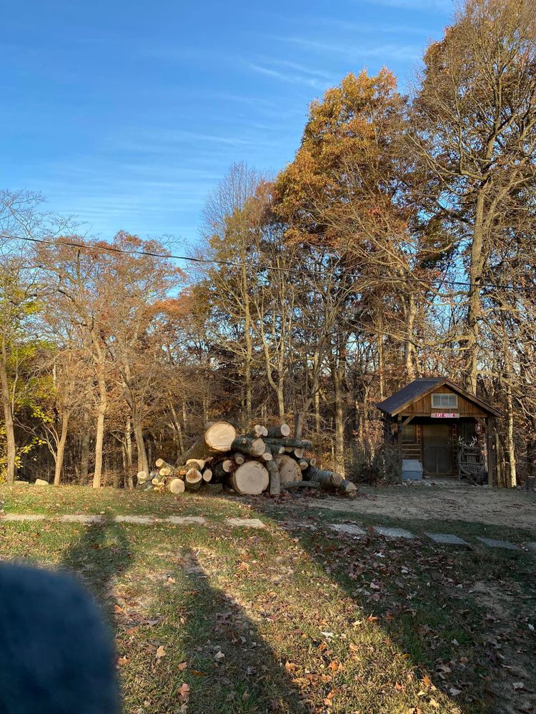 Tree Removal for SMITHs Tree Service in Columbus, IN