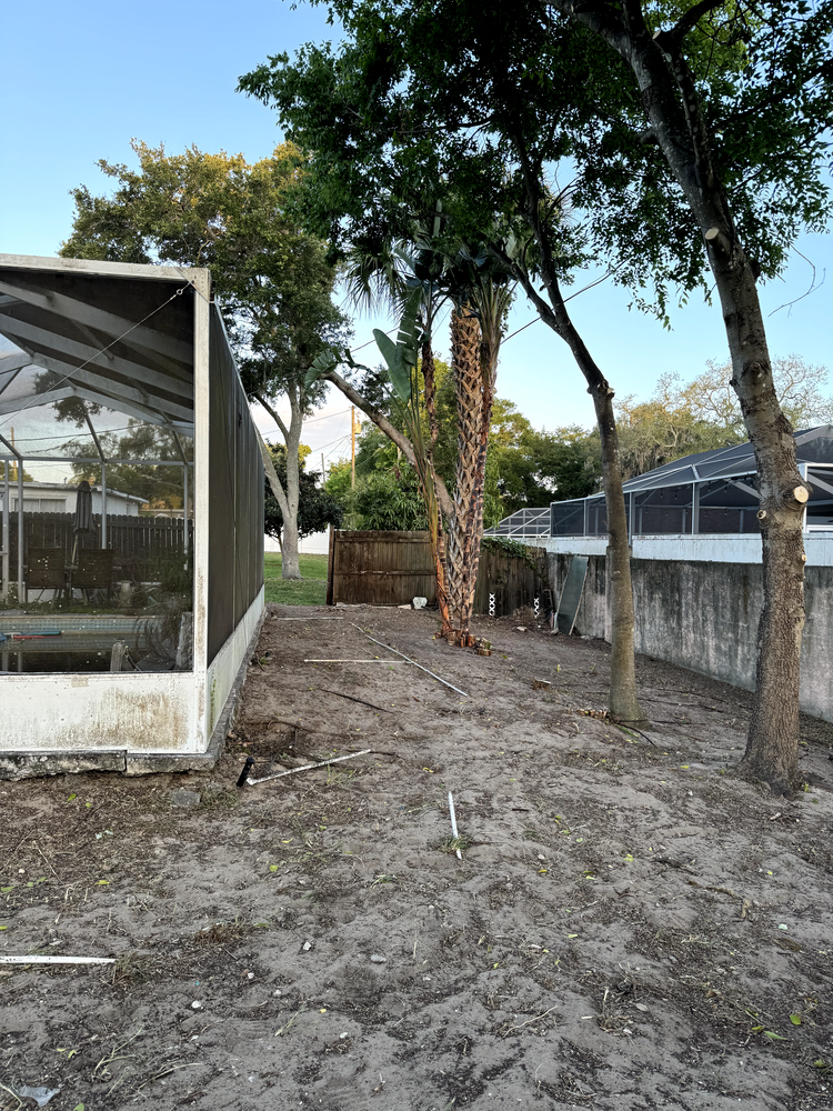 All Photos for Elevation Tree Service in Holiday, FL