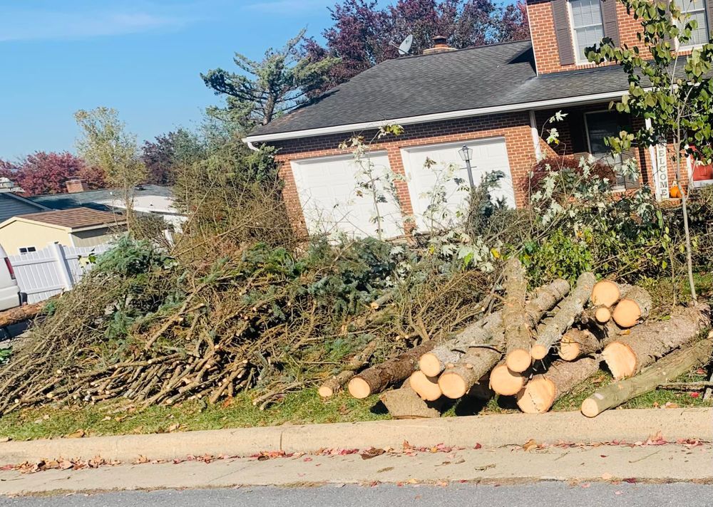 Our professional Tree Removal service safely and efficiently eliminates unwanted trees from your property, enhancing safety, aesthetics, and overall landscape health. Contact us today for a free consultation. for Lux Arbor Tree Services in Harrisonburg, VA