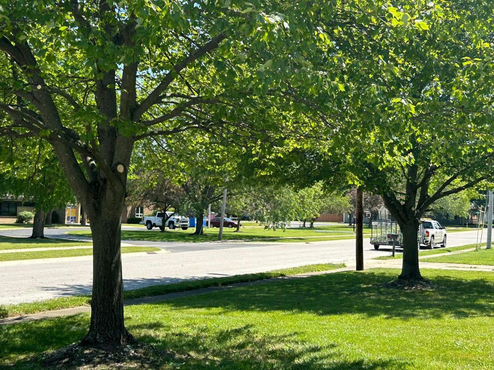 All Photos for Bearforce Lawn Care LLC in Greenfield, IN