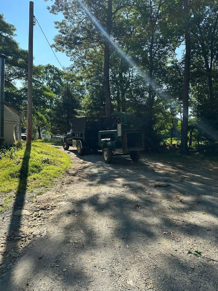 All Photos for Silver City Tree and Landscape in Taunton, MA