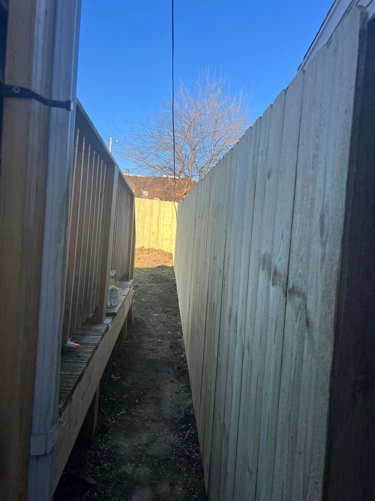 Tree Removal for La Fountain Tree Service in Louisville, KY