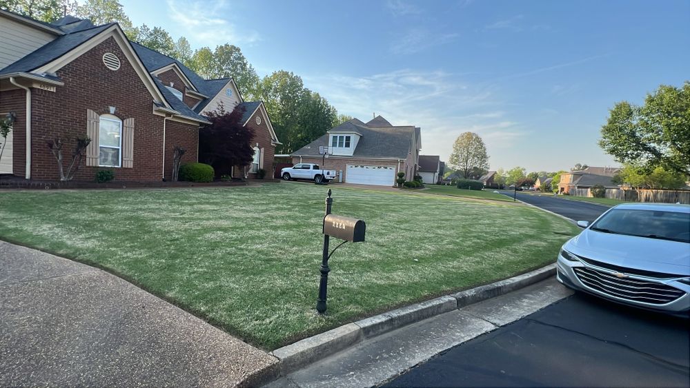 All Photos for Sanchez Z. Landscaping in Memphis, TN
