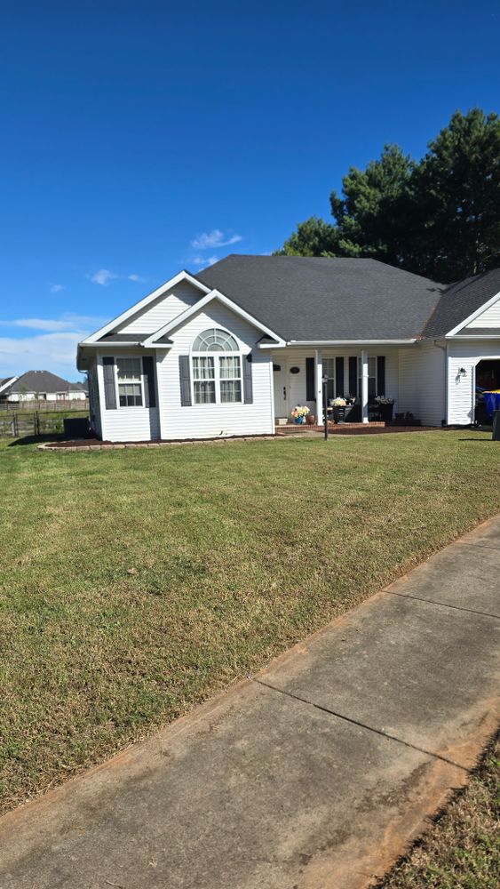 All Photos for Optimum Tree Service And Landscaping in Bowling Green, KY